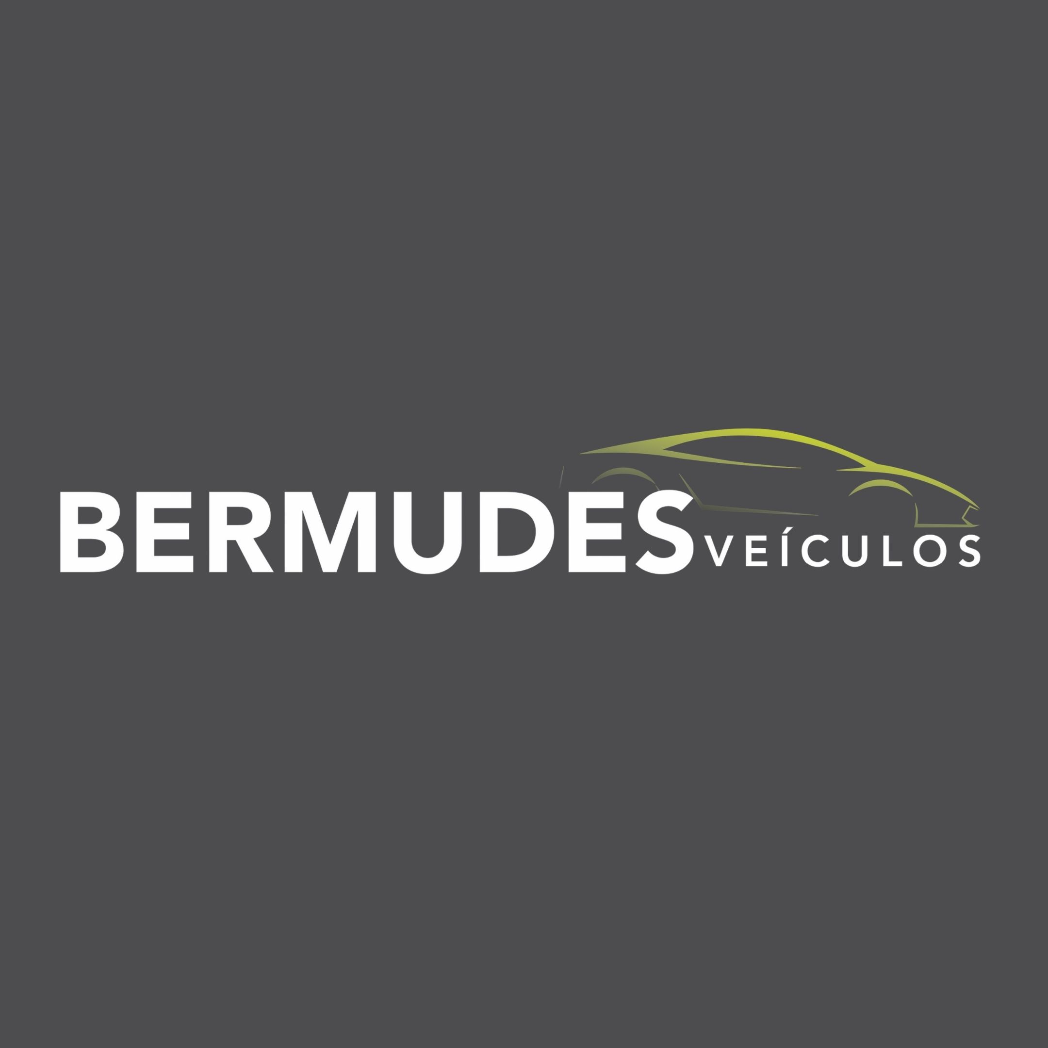 Leia mais sobre o artigo Linkli.me – Bermudes Veículos